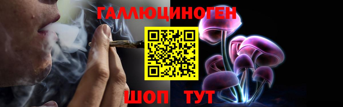 что такое   Вход с VPN  Новозыбков  Галлюциногенные грибы Psilocybine cubensis  Псилоцибиновые грибы мухоморы 